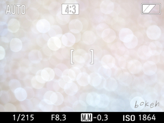 [전독시/독중] bokeh