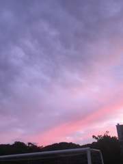 마법사의 약속 현자른 글