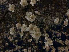 계절의 변화를 맞이하는 방법