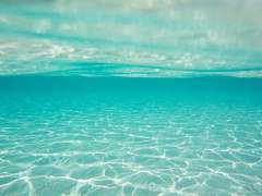 [쿱지] Blue Mermaid / Part.1 #9