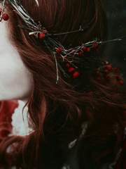 홍사연담紅絲緣談