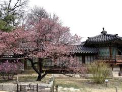 장량-다정다감 보고 적는 전생 썰