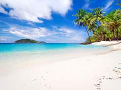 그림자를 비웃으며