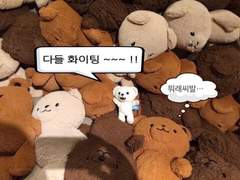 단단함에 대해서