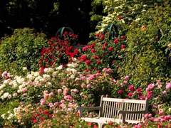 [흑적] 네 홍차에 독을 탔어.