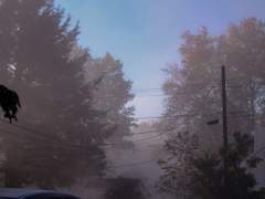 하염없이 지나 갈 뿐