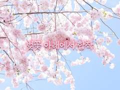 벚꽃 아래에서🌸