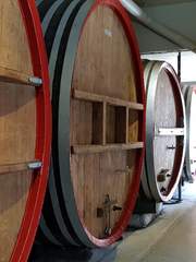 1차 창작 단편들.