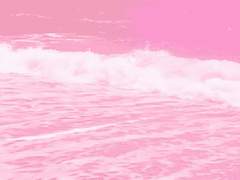 친애하는 나의 팬, 포포.