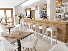 고양이 발바닥 둘(질투)