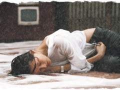 고양이 발바닥 셋(성격)