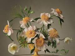 삼춘도리화개야