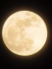 지박소년 하나코군