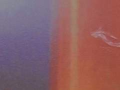 [순부] risqué ; 위태로운 (JELLY 번외편)