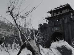 [설양성진] 사자의 기록