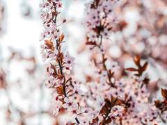 기다려준 네가 있기에