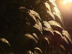 [시릴매니] Rewrite 3