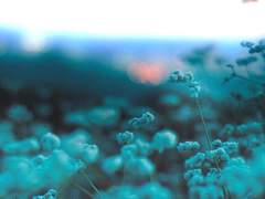 앤디겜/요정과 투명인간의 연애사