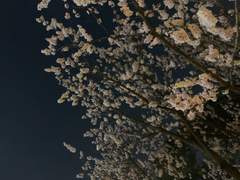 계절의 변화를 맞이하는 방법