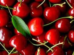 [희예/현예/다각] Bloody Cherry