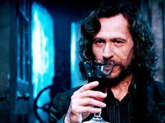 [홍시_캐해석] 시리우스 블랙