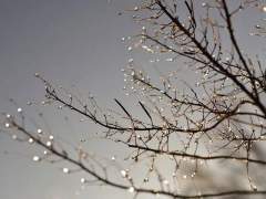 It is just our talking