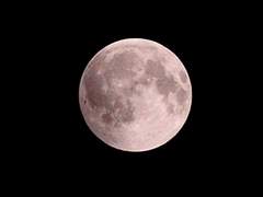 [우치하 오비토 드림] 붉은 달의 이면