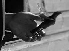 희수는 아버지를 살리고 싶지 않다고 말했다.