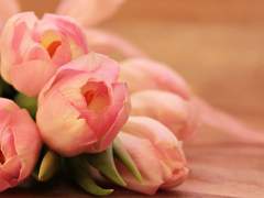 [스워/아나오비]코러산트의 만우절(1)