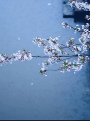 모든 게 사실 거짓이었다면