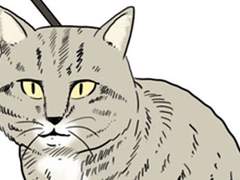 새우리말웹툰사전