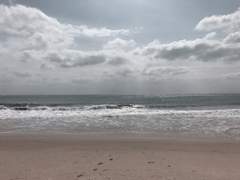 도화각시전 三十九話