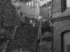 빗속, 여린 상흔 에필로그 - 상흔