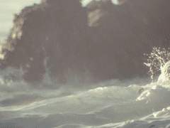 연안을 버린 인어에게.