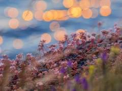 [아츠히나]부메랑