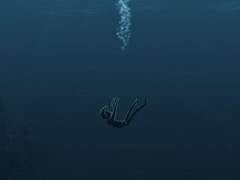 새 봄부터 단오 사이에 피는 풀엔 독초가 없대