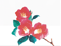 제주4·3 / 제주4·3평화재단