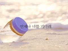 너에게 보낼게.