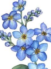 어느 볕이 좋은날