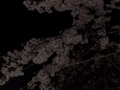 장난스러운 고백