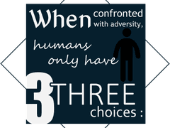 새로운 별이 떴을 때