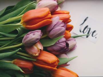 사랑은 요즈렐을 타고