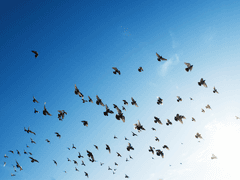 [번역] MY STAR 9호 코우지&히로 인터뷰