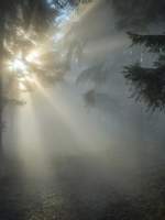 여색가로 사는 법