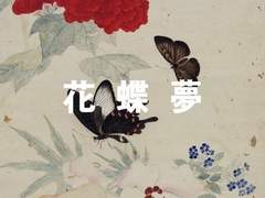 [육섭] 花 蝶 夢 (화접몽 : 꽃과 나비의 꿈) #3