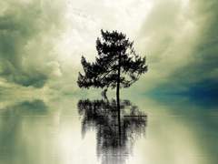 [희신강징] 甑已破矣 1