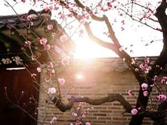 [백민] 고전백민 썰 7~14