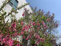 지금 내가 하고자 하는 것