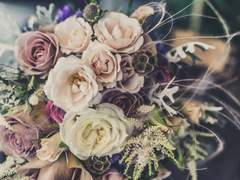 채운님이 오셨다, 이 새끼들아!