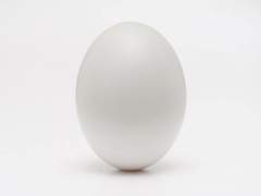 조로와 아기 용